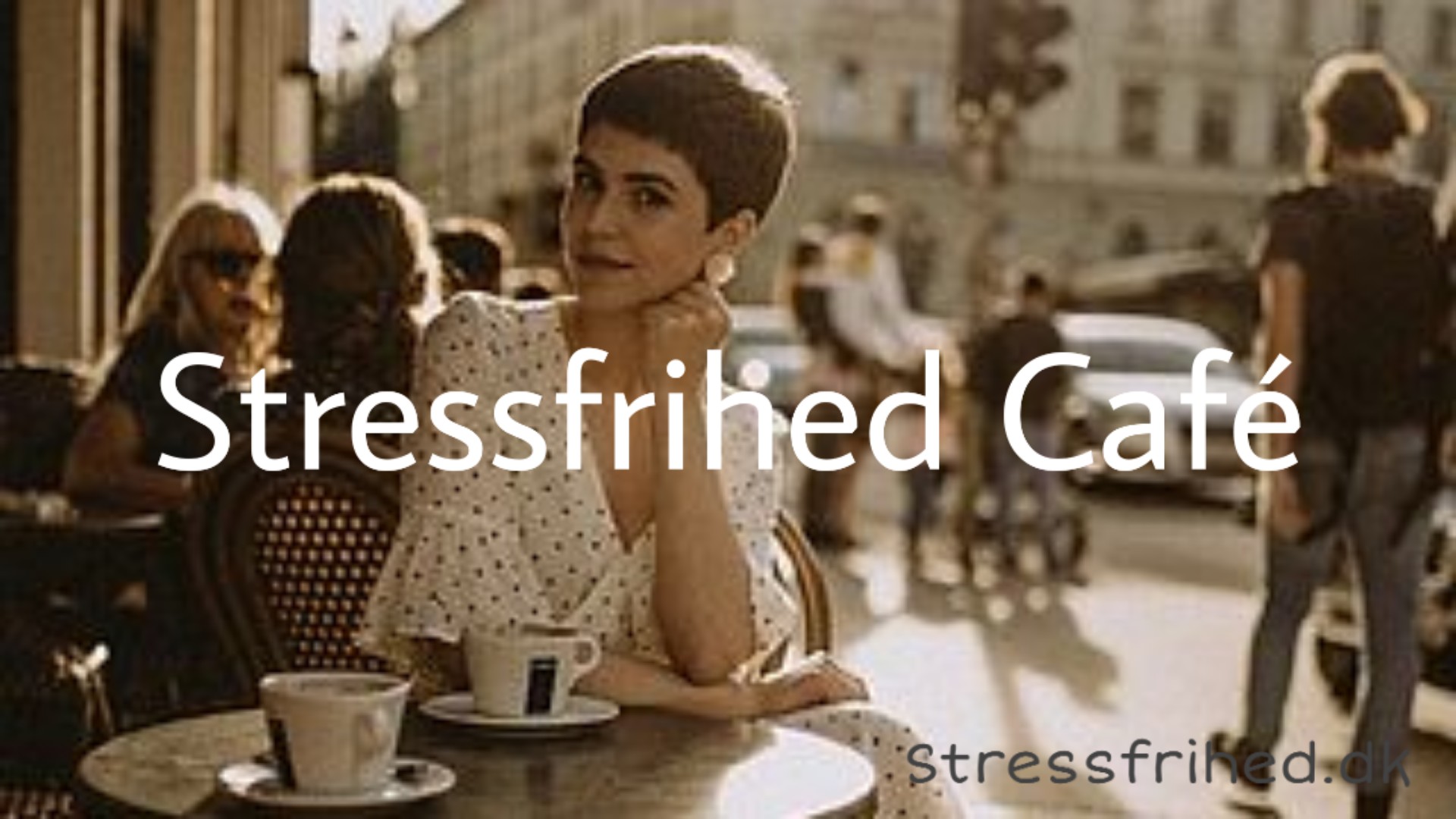 Stressfrihed Café - afstressende workshop for virksomheder