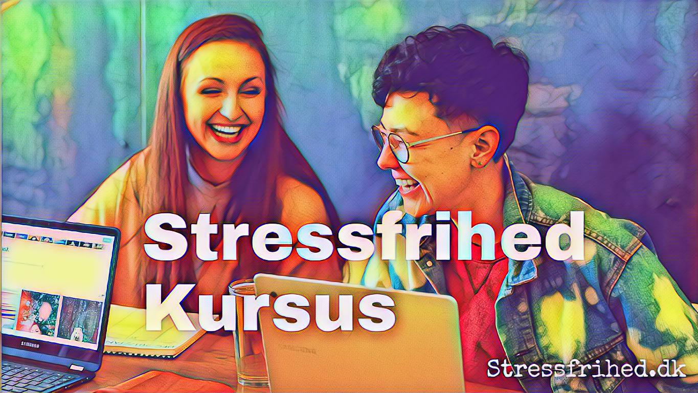 Stressfri Ledelse 1-dags Stressfrihed kursus Stressfri Ledelse 1-dags Stressfrihed kursus
